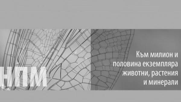 130 години от създаването на природонаучния музей на БАН