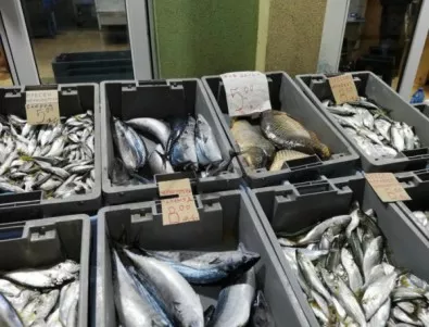 4,5 тона е дарената риба, заловена от незаконен риболов