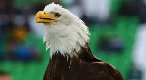 Ясна е съдийската бригада за най-важния двубой на Лудогорец до този момент