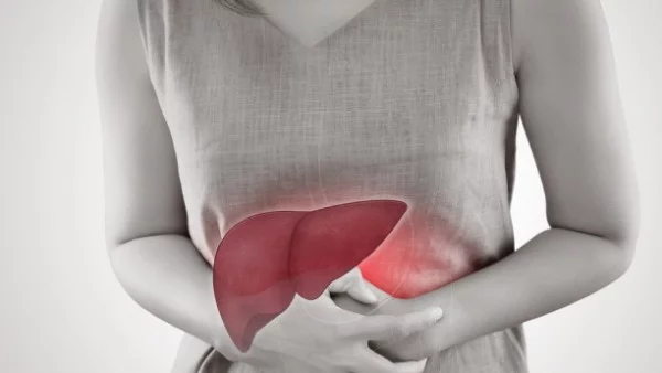 Всеки трети българин не знае къде се намира черният дроб в човешкото тяло