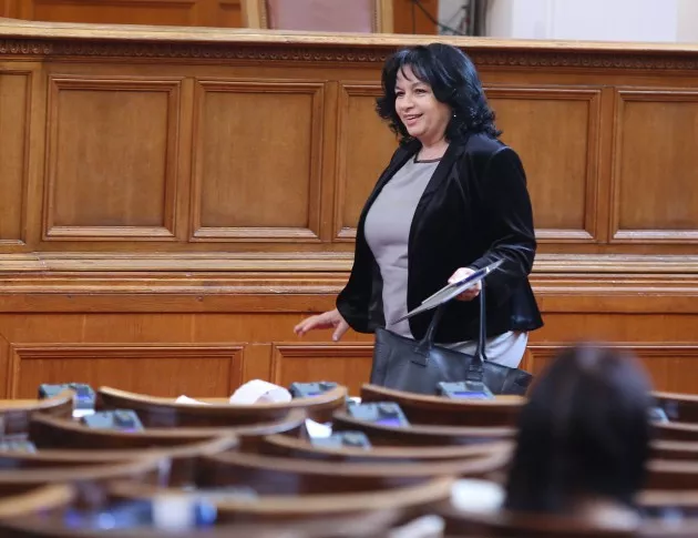 Теменужка Петкова: Правителството няма отношение към това на кого ЧЕЗ ще продаде активите си
