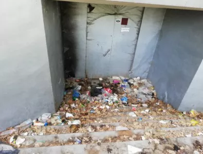 Открита градска тоалетна - на пъпа на Асеновград (СНИМКИ)