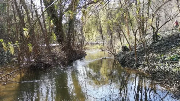 Еколози и скаути ще чистят от боклуци Тученишката бара в Плевен