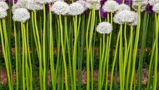 Прогноза за времето - 12 септемри (четвъртък)