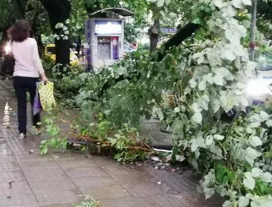 Ураганен вятър и пороен дъжд удариха Стара Загора (СНИМКИ)