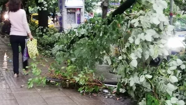 Ураганен вятър и пороен дъжд удариха Стара Загора (СНИМКИ)