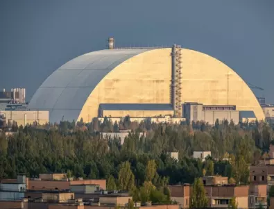 В АЕЦ Чернобил има живот, който се храни с радиация
