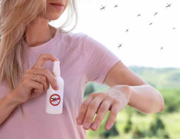 Държавата отпуска 2 милиона лева за пръскане срещу комари край Дунав 