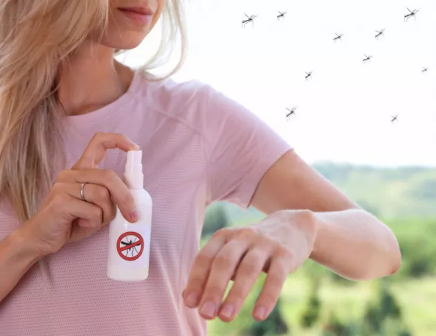 Полезни трикове за борба с комарите
