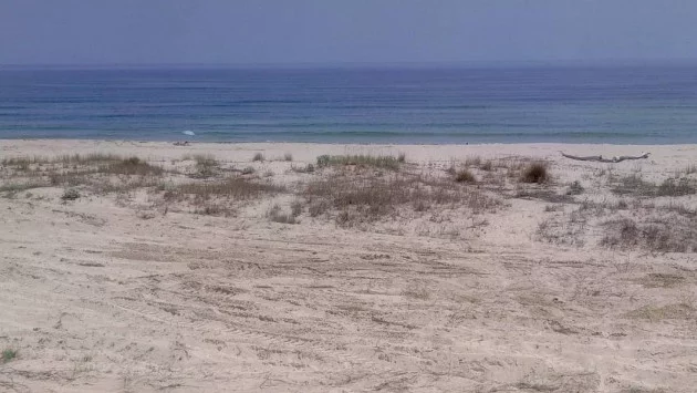 Концесионерът на плаж Перла с глоба заради мъж, карал джипа си по плажната ивица