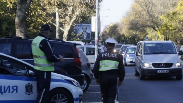 Промяната във войната по пътищата - явно трябва по-високи глоби и за домашни животни