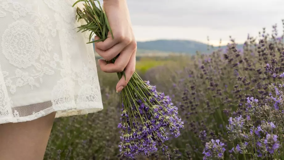 Избавете се от негативната енергия с билково прекадяване