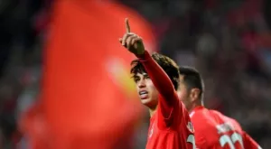 Бенфика показа офертата на Атлетико за Феликс, тя е рекордна за мадридчани