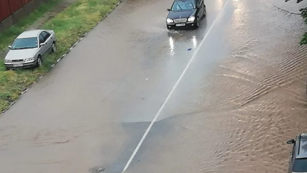 Дърво падна от бурята в Асеновград, свлачище почти затвори пътя за Смолян