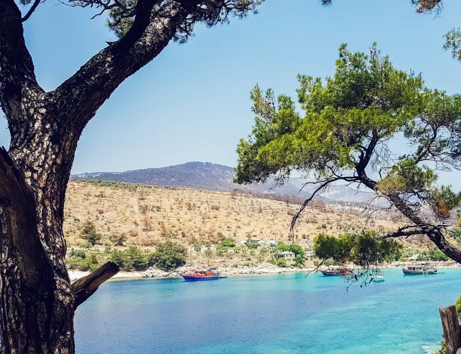 Кога и как ще бъдат пуснати чужди туристи в Гърция - плановете на премиера