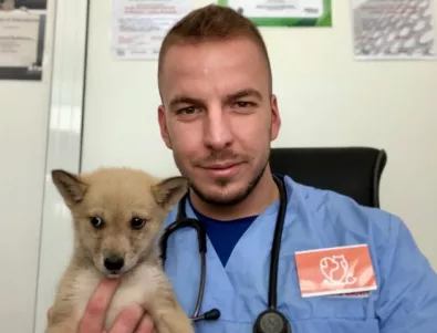 Д-р Симеон Маджаров: Намордникът не може да реши въпроса с агресията на едно куче