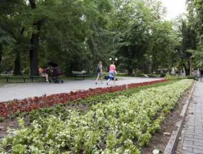 Нови цветя за старозагорските паркове и градини 