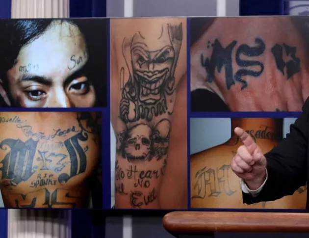 Десетки членове на една от най-жестоките банди в Лос Анджелис отиват на съд