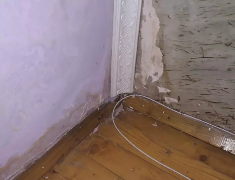 Разпръснете краставици по ъглите вкъщи, няма да повярвате какво ще се случи