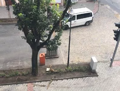 Гражданин мина с кола през градинка в центъра на Варна