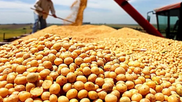 Фермерите в САЩ в колапс: изхвърлят продукция, убиват животни (ВИДЕО)