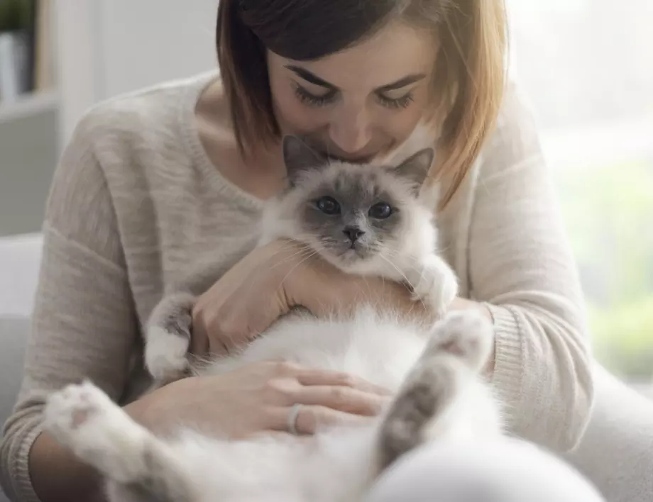 Пазете котката си от тези миризми – те могат да я убият
