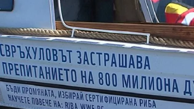 Нов „Рибен буквар“ показва кои риби са застрашени от изчезване