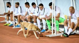 Припадналият защитник на Зоря: Не помня какво се случи