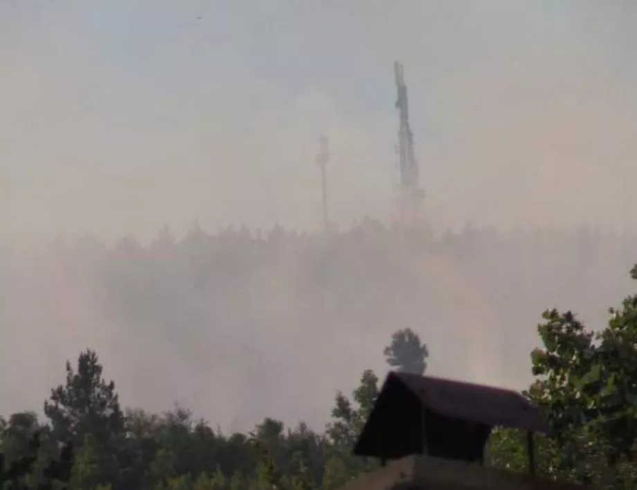 Отново пламна гората над Реброво, спешно се търсят дорбоволци 