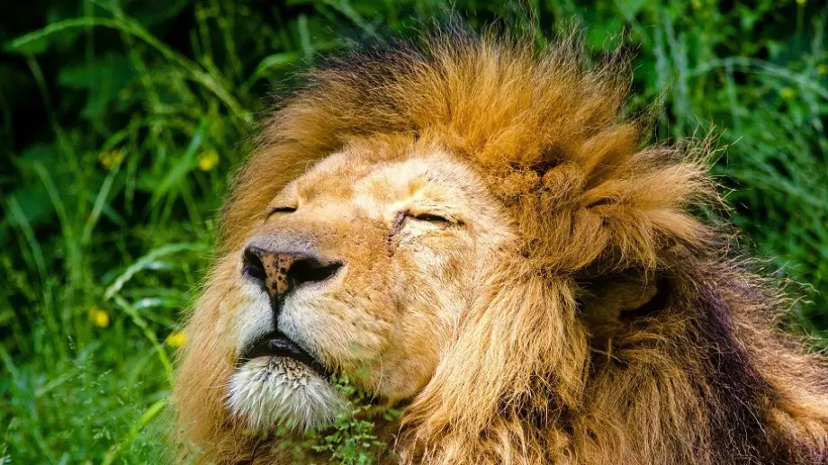 Вашият покровител според часа, в който сте родени!