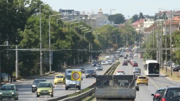 Международен ден на безопасността на движението по пътищата 