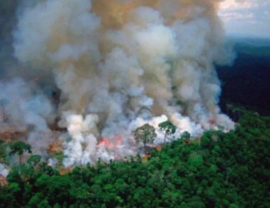 Гарантирано от Меркел: Пожарите в Амазония влизат в дневния ред на G7 (СНИМКИ) 