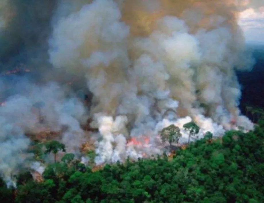 Г-7 ще помага в борбата с пожарите в Амазония