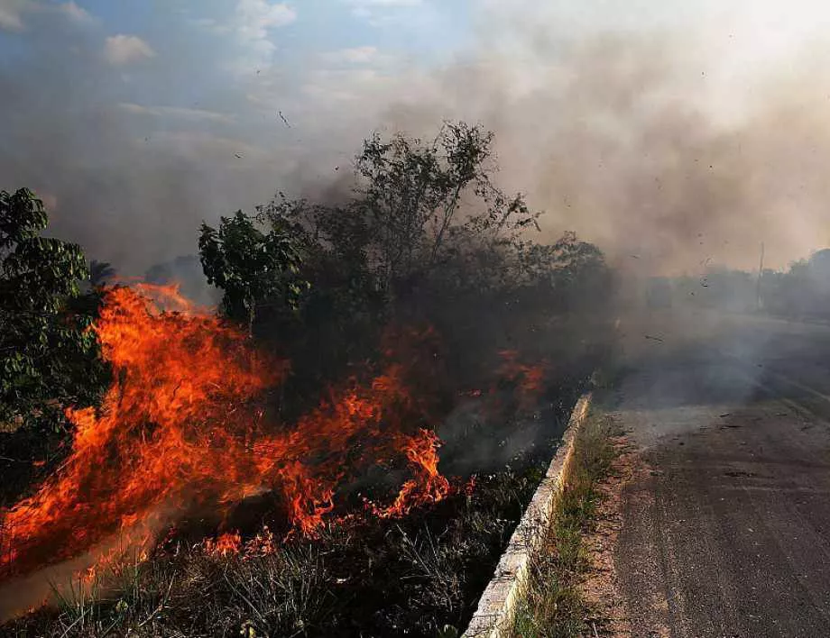 Австралия очаква нови пожари с покачването на температурите
