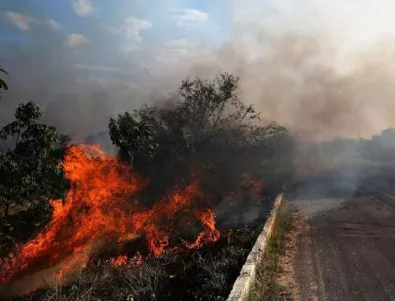Пожарите в руските гори увеличават площта си в последното денонощие