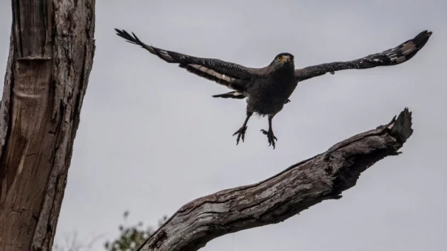 Докъде стига Турция за справяне с климатичните промени? 