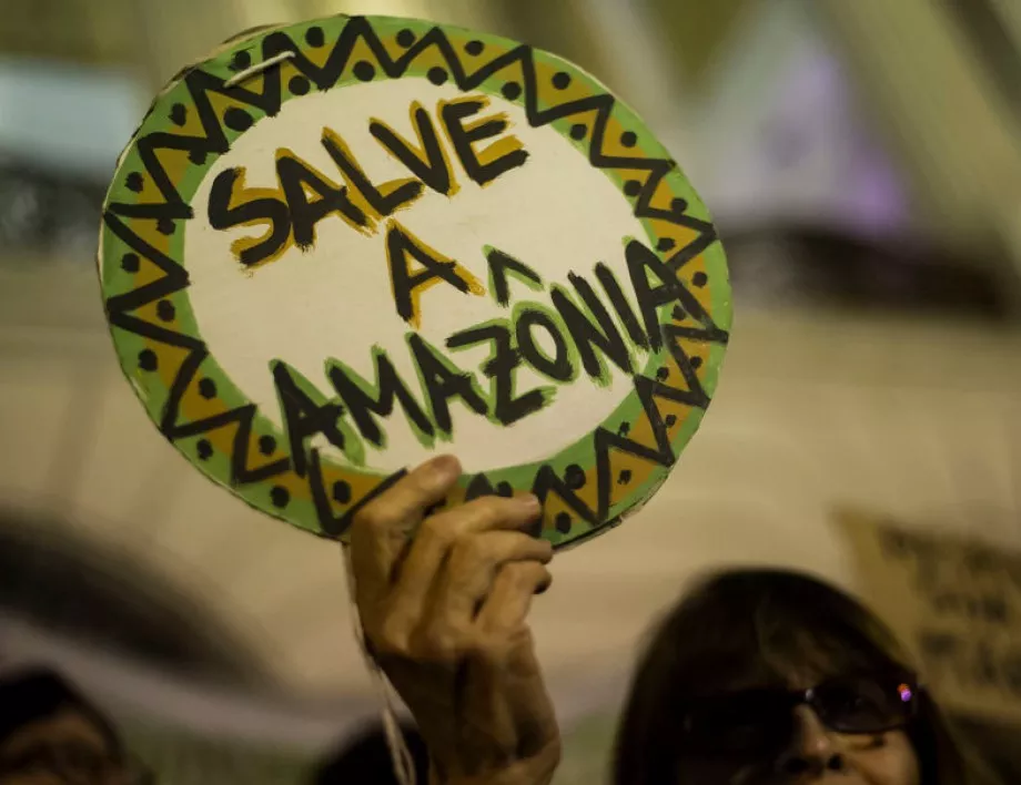 Седем държави се обединиха в защита на Амазония