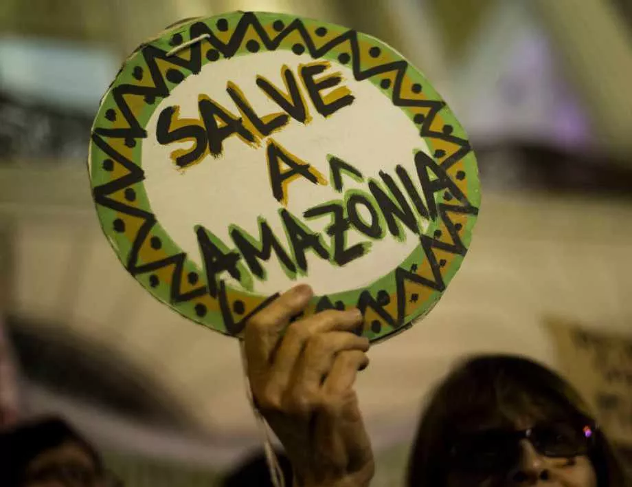 САЩ и Бразилия дават 100 млн. долара за Амазония 