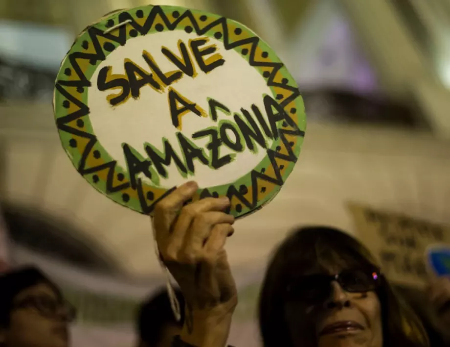 Бразилия търси 1 млрд. долара помощ от чужбина за спасение на горите на Амазонка