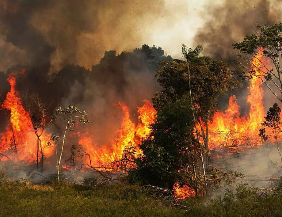 Пожар избухна в Източна Атика, разпоредена е евакуация