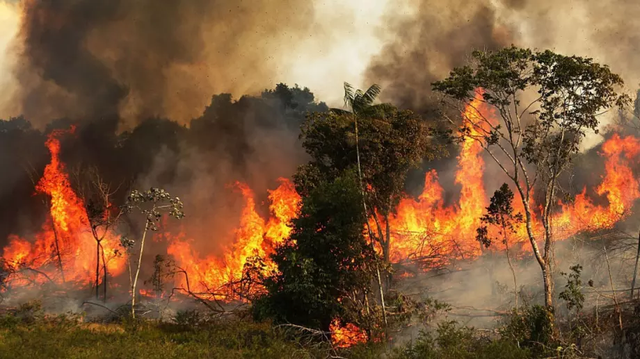 Повече пожари в Амазония за девет месеца, отколкото за цялата 2021 година