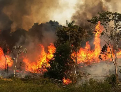 Рекорден брой пожари в бразилска Амазония  