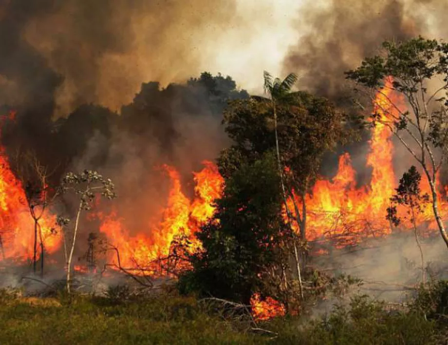 Десетки горски пожари горят в Гърция