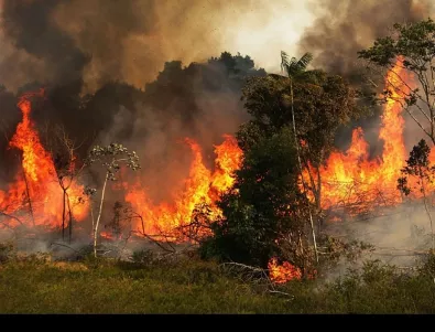 Амазония отново гори, хиляди нови огнища обхванаха дъждовните гори