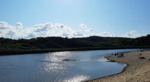 Осем футболисти в Гана загинаха след падане на автобус в река