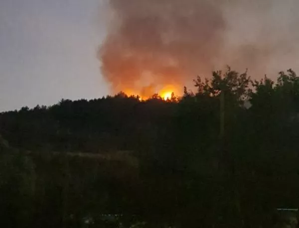 Пожар пламна в "Пенсионерския парк" над Асеновград (ВИДЕО)