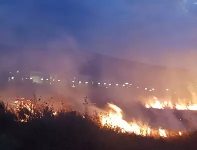 35 дка гора е засегната от пожара в село Дълбоки