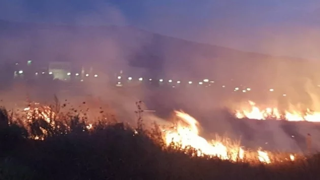 35 дка гора е засегната от пожара в село Дълбоки