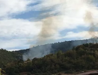 Три пожара пламнаха в Асеновград. Гори гората над 