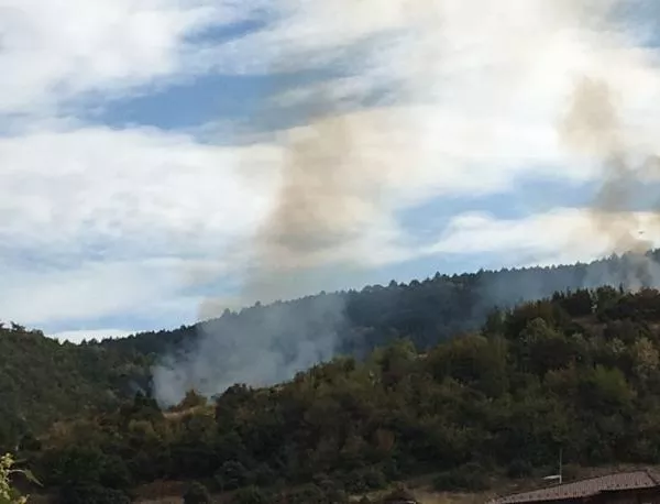 Три пожара пламнаха в Асеновград. Гори гората над "Горни Воден" (СНИМКИ)